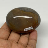 116.6g, 2.4"x1.8"x1.2" Polychrome Jasper Palm-Stone Reiki @Madagascar, B24555