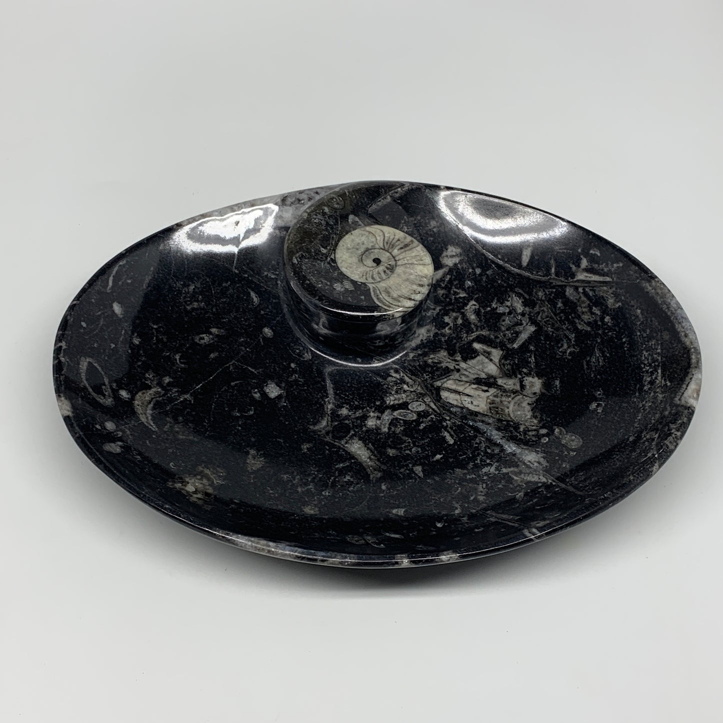 884g, 8.75"x6.5" Black Fossils Ammonite Orthoceras Bowl Oval Ring @Morocco,B8446