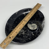 884g, 8.75"x6.5" Black Fossils Ammonite Orthoceras Bowl Oval Ring @Morocco,B8446