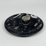 852g, 8.75"x6.5" Black Fossils Ammonite Orthoceras Bowl Oval Ring @Morocco,B8447