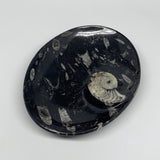 852g, 8.75"x6.5" Black Fossils Ammonite Orthoceras Bowl Oval Ring @Morocco,B8447
