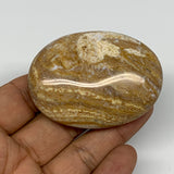 76.2g, 2.4"x1.8"x0.8" Ocean Jasper Palm-Stone Orbicular Jasper Reiki Energy,B167