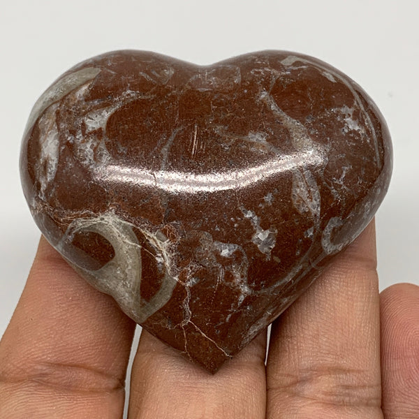 60.7g, 1.9" x 2.2"x 0.7", Natural Untreated Red Shell Fossils Half Heart @Morocc
