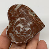 60.7g, 1.9" x 2.2"x 0.7", Natural Untreated Red Shell Fossils Half Heart @Morocc