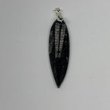 7.5g, 2.3"x0.6"x0.2", Natural Fossils Orthoceras Pendant (Straight Horn),B12551