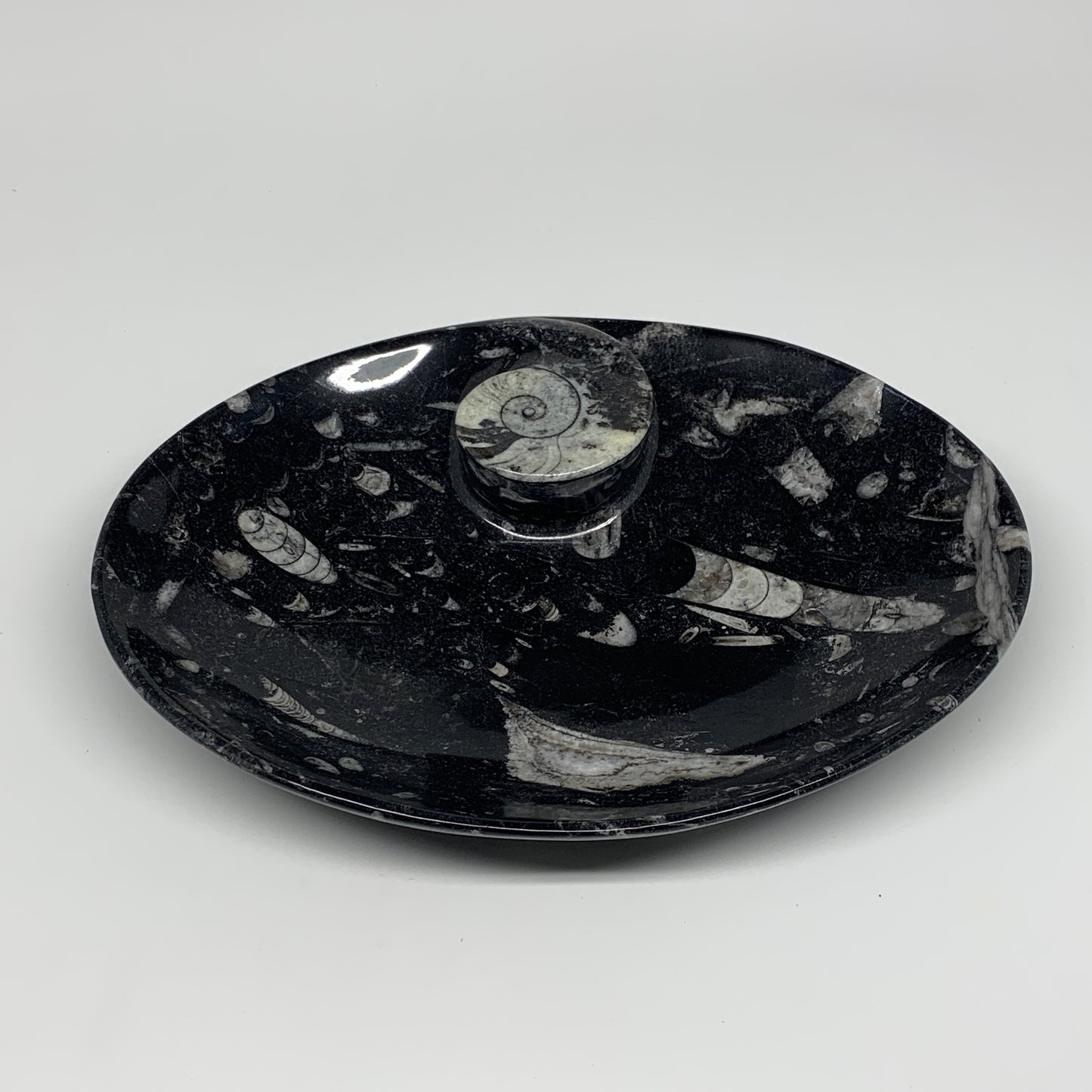 774g, 8.75"x6.5" Black Fossils Ammonite Orthoceras Bowl Oval Ring @Morocco,B8450