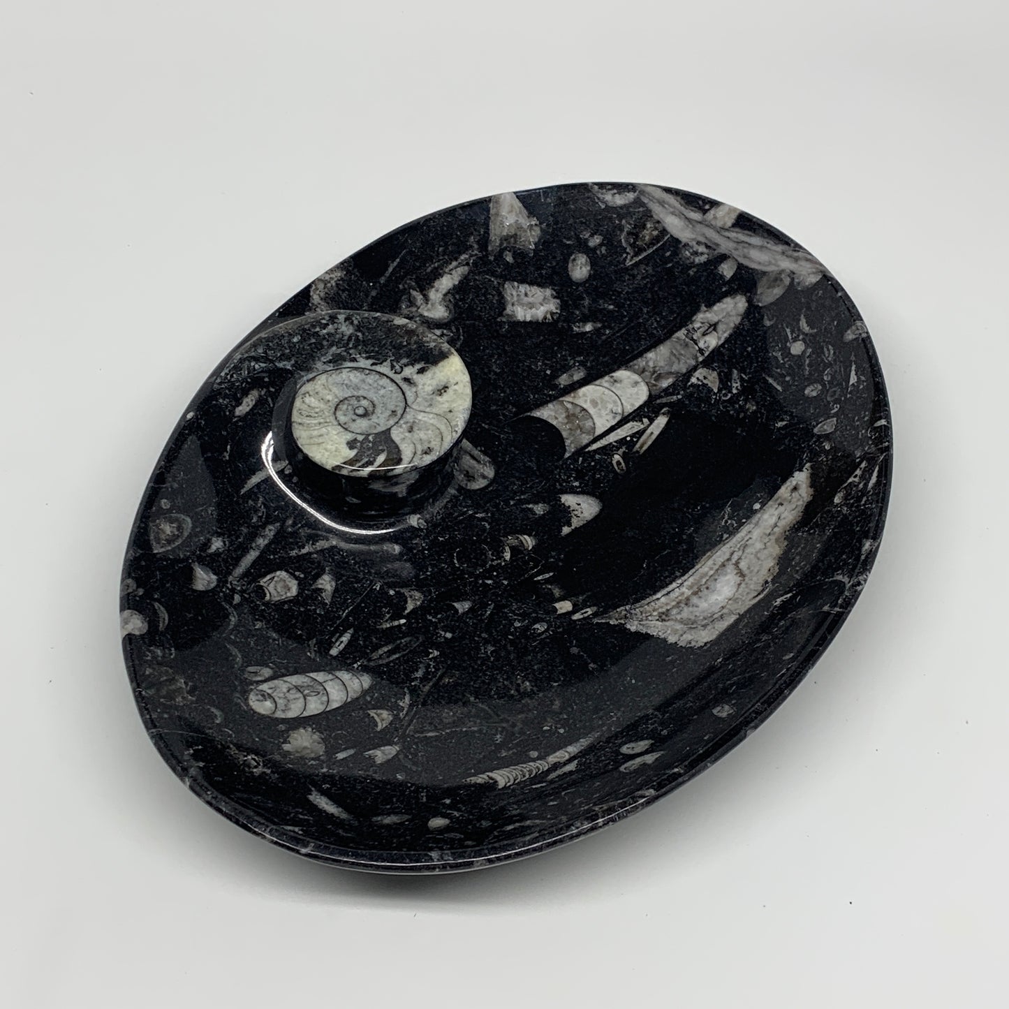 774g, 8.75"x6.5" Black Fossils Ammonite Orthoceras Bowl Oval Ring @Morocco,B8450