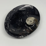 992g, 8.75"x6.5" Black Fossils Ammonite Orthoceras Bowl Oval Ring @Morocco,B8452