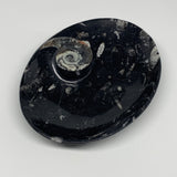 734g, 8.75"x6.5" Black Fossils Ammonite Orthoceras Bowl Oval Ring @Morocco,B8453