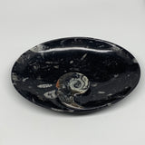 734g, 8.75"x6.5" Black Fossils Ammonite Orthoceras Bowl Oval Ring @Morocco,B8453