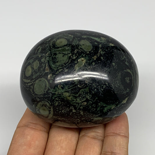 264.9g, 2.8"x2.3"x1.8", Crocodile Kambaba Jasper Palm-Stone @Madagascar, B15118