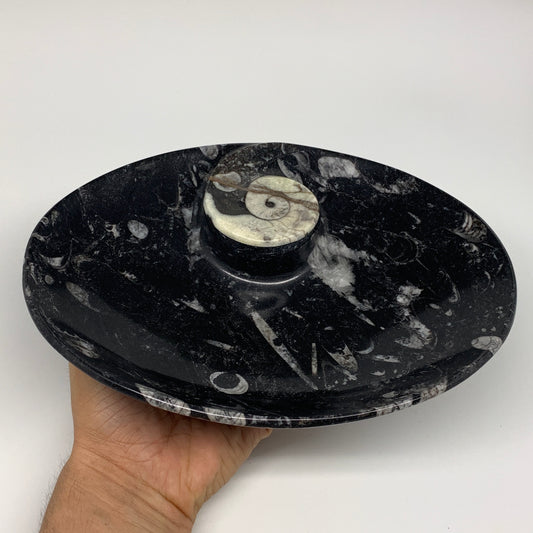 916g, 8.75"x6.5" Black Fossils Ammonite Orthoceras Bowl Oval Ring @Morocco,B8458