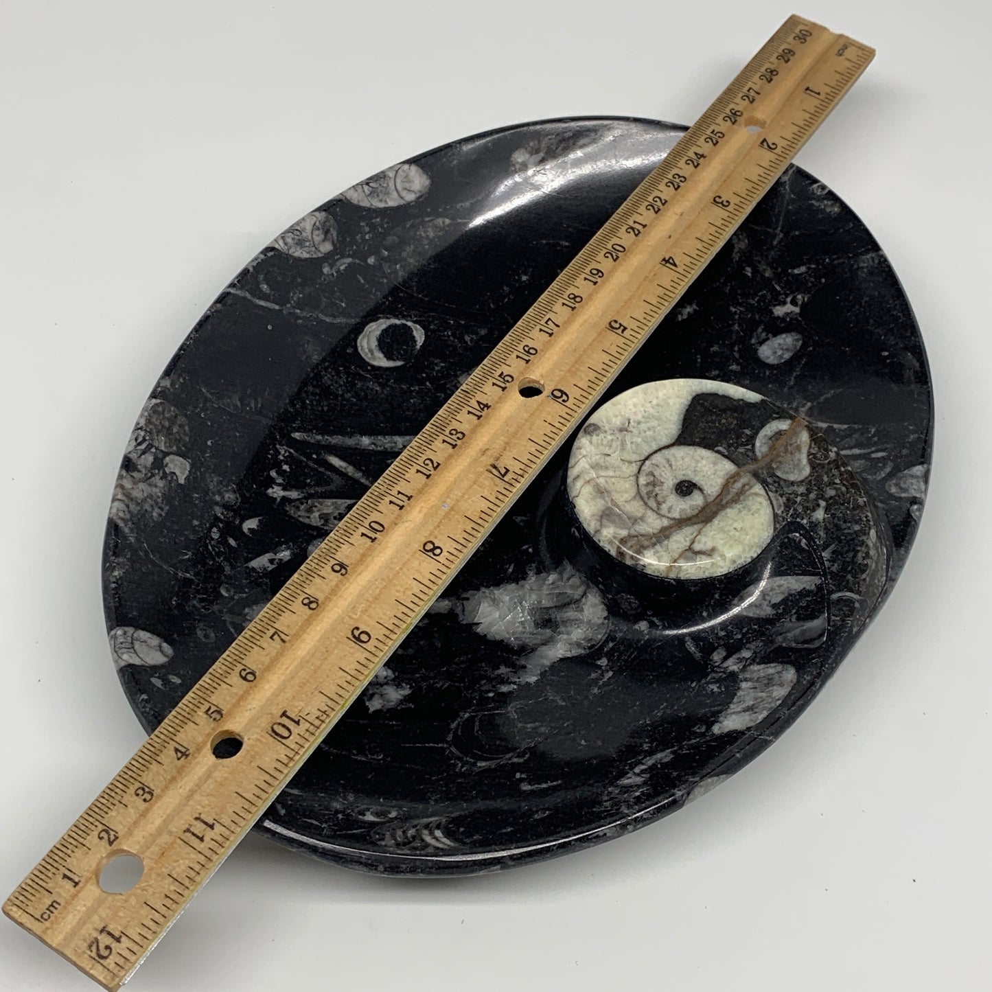 916g, 8.75"x6.5" Black Fossils Ammonite Orthoceras Bowl Oval Ring @Morocco,B8458