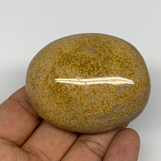 102.2g, 2.3"x1.8"x1" Ocean Jasper Palm-Stone Orbicular Jasper Reiki Energy,B1671
