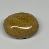 102.2g, 2.3"x1.8"x1" Ocean Jasper Palm-Stone Orbicular Jasper Reiki Energy,B1671