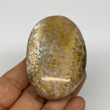 109g, 2.7"x1.7"x1" Ocean Jasper Palm-Stone Orbicular Jasper Reiki Energy,B16719