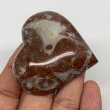 62g, 2" x 2.2"x 0.6", Natural Untreated Red Shell Fossils Half Heart @Morocco,F1