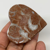 55.8g, 2" x 2.1"x 0.6", Natural Untreated Red Shell Fossils Half Heart @Morocco,
