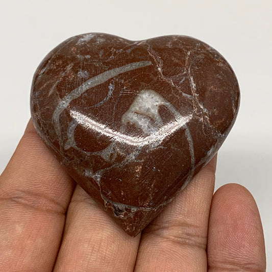 57.9g, 2.1" x 2.1"x 0.6", Natural Untreated Red Shell Fossils Half Heart @Morocc