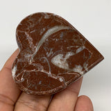 57.9g, 2.1" x 2.1"x 0.6", Natural Untreated Red Shell Fossils Half Heart @Morocc