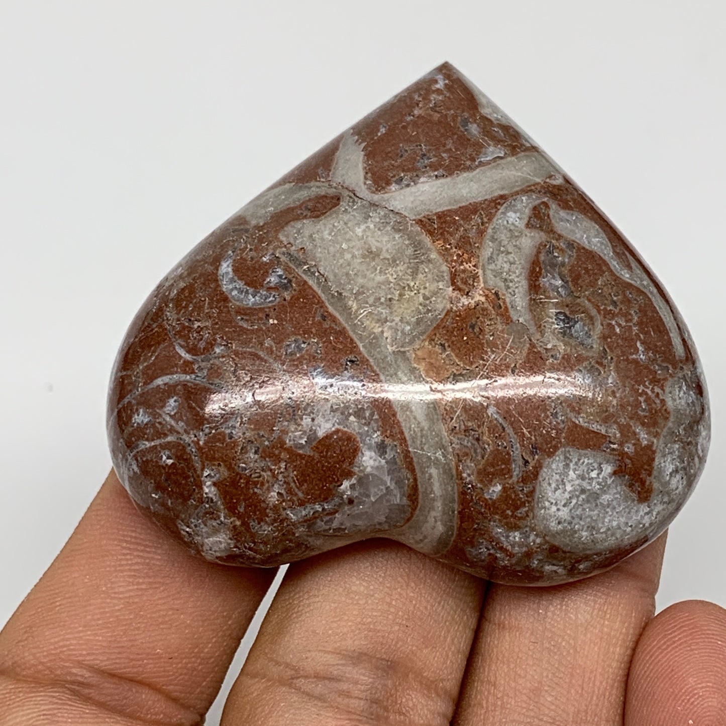 54.1g, 1.9" x 2.1"x 0.7", Natural Untreated Red Shell Fossils Half Heart @Morocc