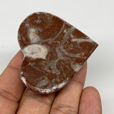 54.1g, 1.9" x 2.1"x 0.7", Natural Untreated Red Shell Fossils Half Heart @Morocc
