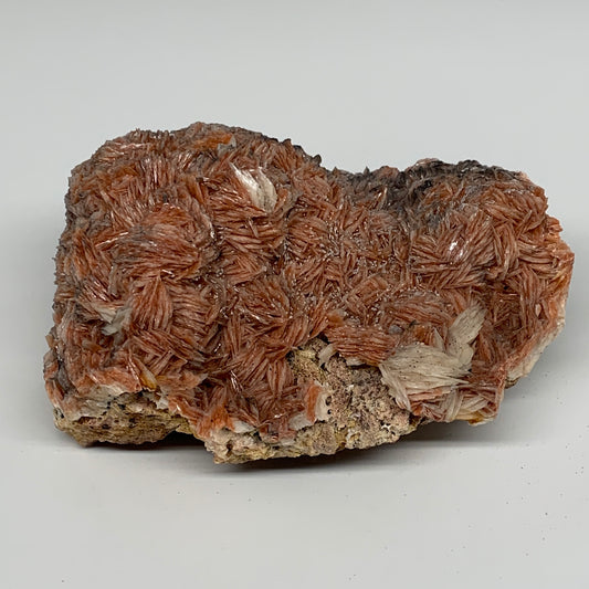 2428g (5.35 lbs), 7"x5x3", Large Golden Barite Mineral Specimen @Morocco, B10979