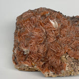 2428g (5.35 lbs), 7"x5x3", Large Golden Barite Mineral Specimen @Morocco, B10979