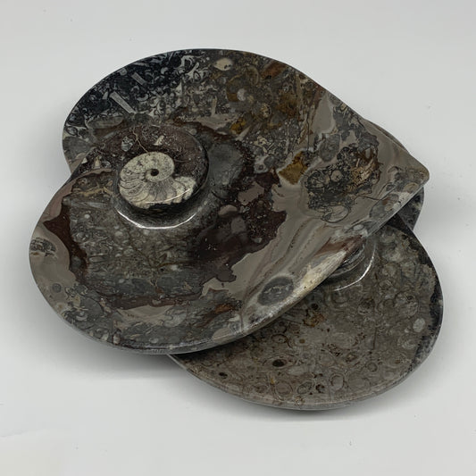 2pcs Set, 6.25"x6.25" Heart Fossils Orthoceras Ammonite Bowls @Morocco, B8472