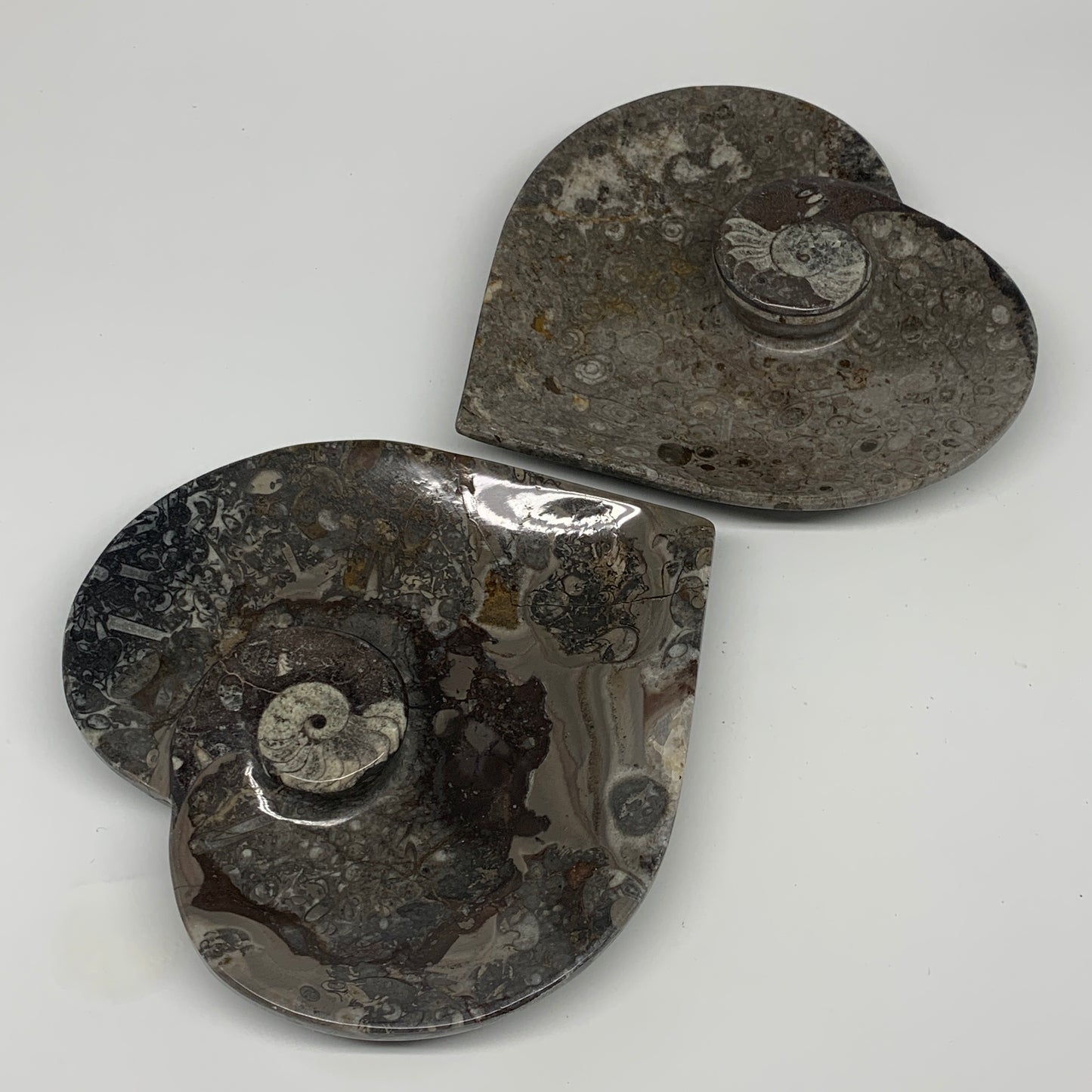 2pcs Set, 6.25"x6.25" Heart Fossils Orthoceras Ammonite Bowls @Morocco, B8472