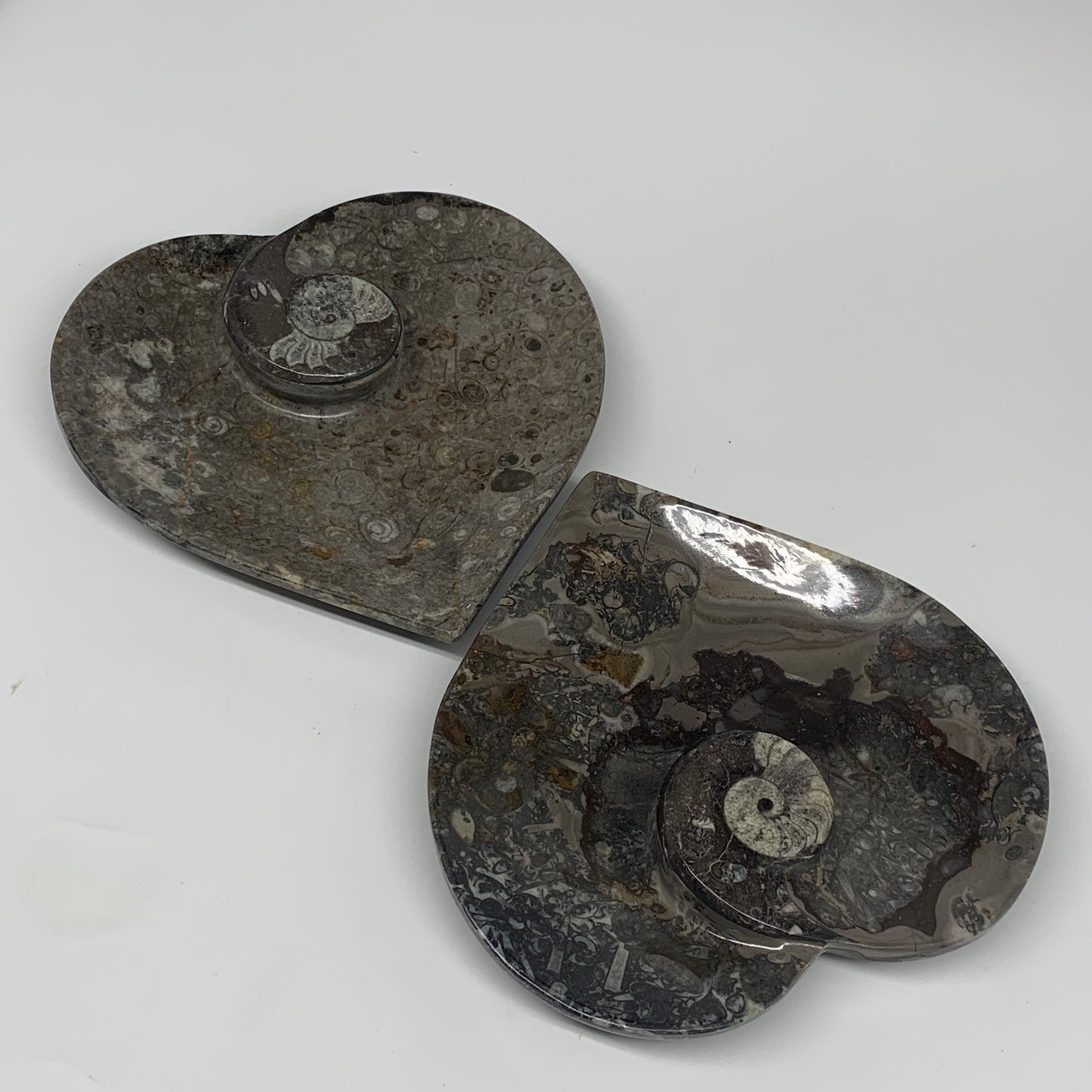 2pcs Set, 6.25"x6.25" Heart Fossils Orthoceras Ammonite Bowls @Morocco, B8472