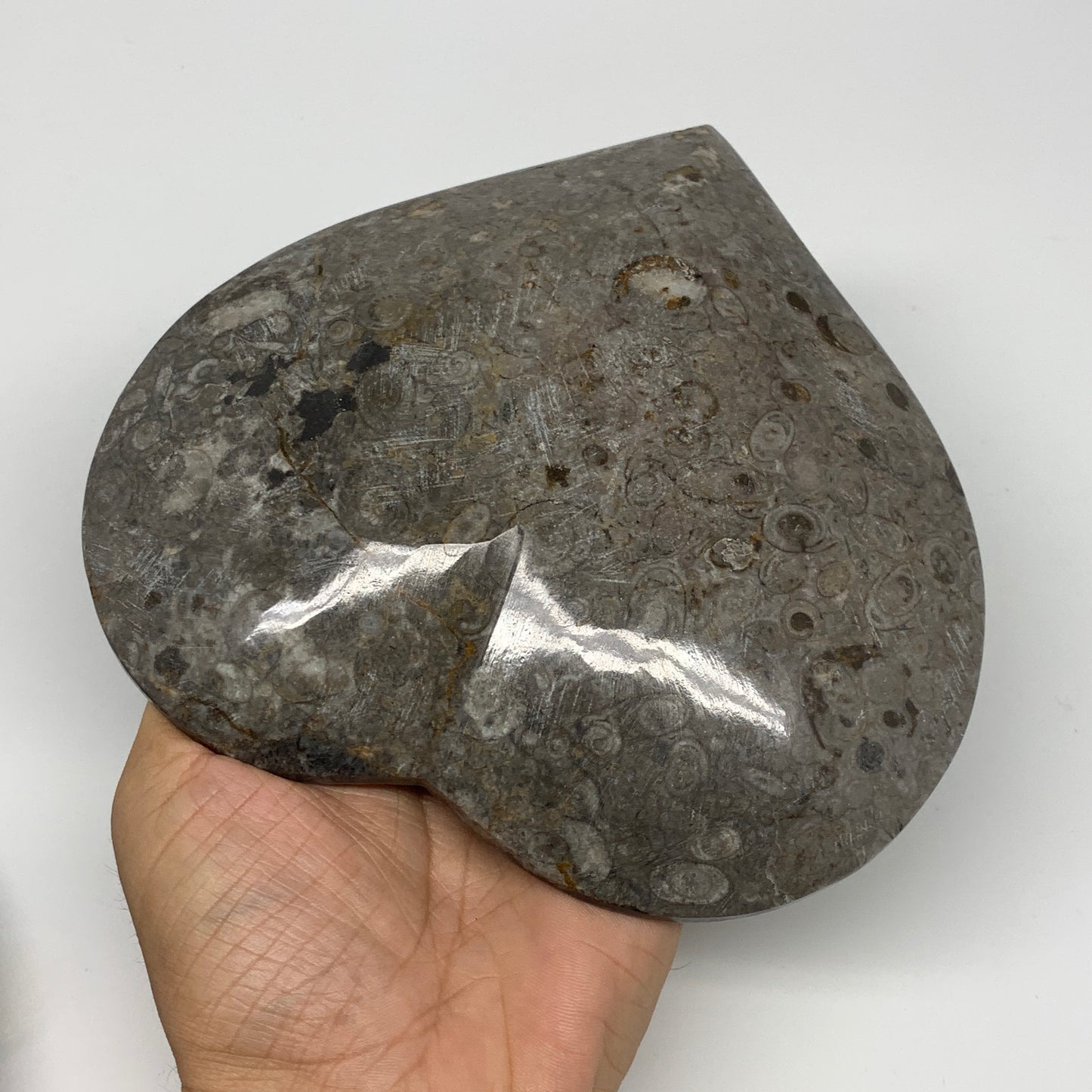 2pcs Set, 6.25"x6.25" Heart Fossils Orthoceras Ammonite Bowls @Morocco, B8472