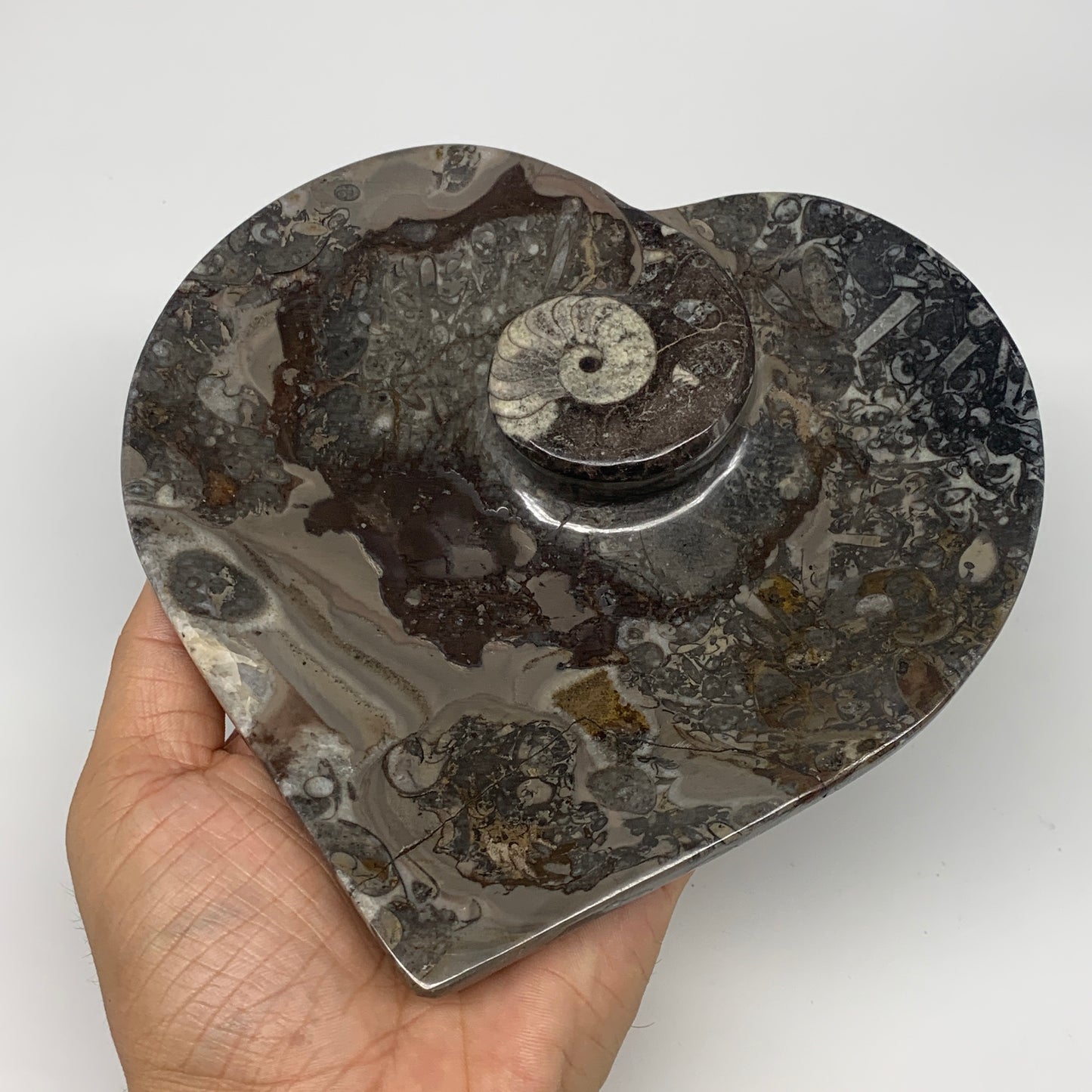 2pcs Set, 6.25"x6.25" Heart Fossils Orthoceras Ammonite Bowls @Morocco, B8472