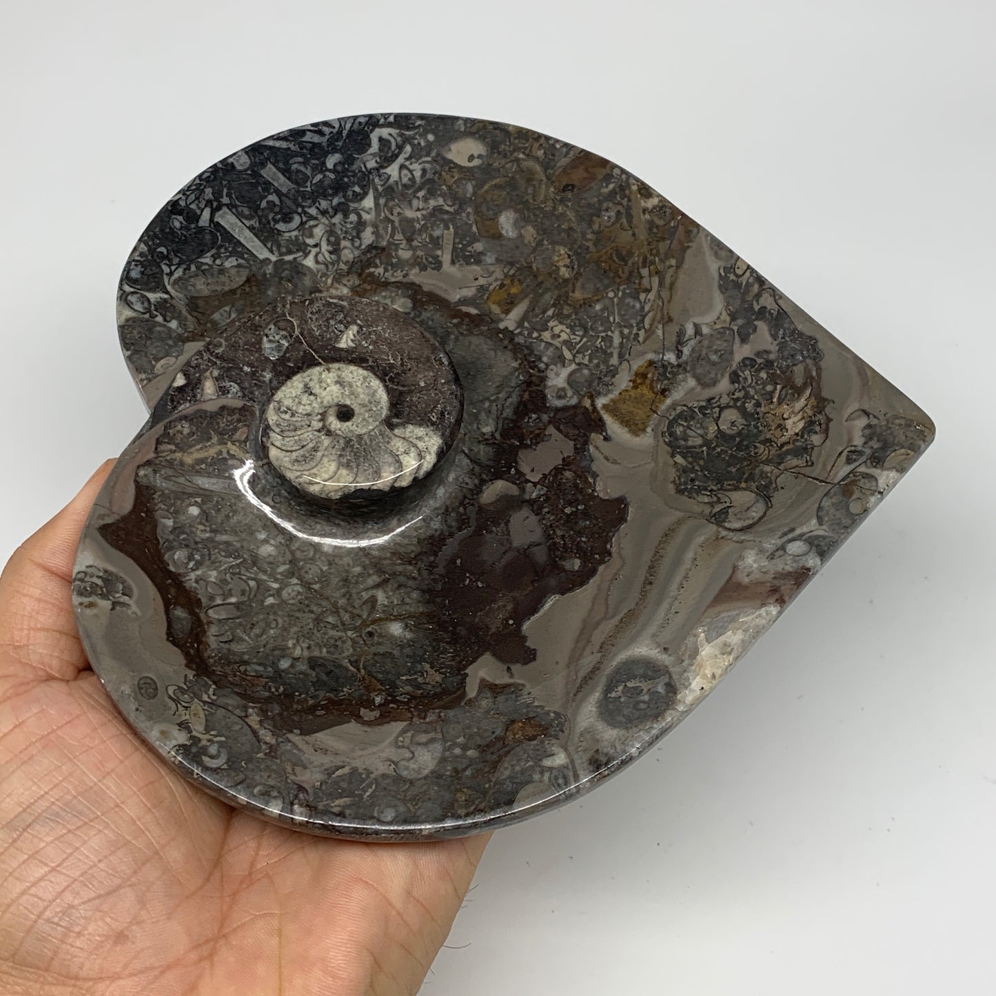 2pcs Set, 6.25"x6.25" Heart Fossils Orthoceras Ammonite Bowls @Morocco, B8472