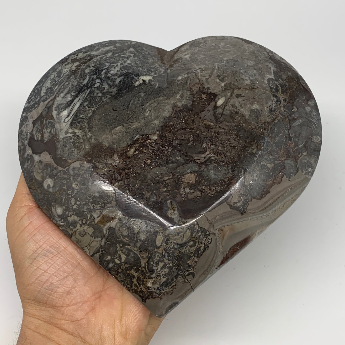 2pcs Set, 6.25"x6.25" Heart Fossils Orthoceras Ammonite Bowls @Morocco, B8472