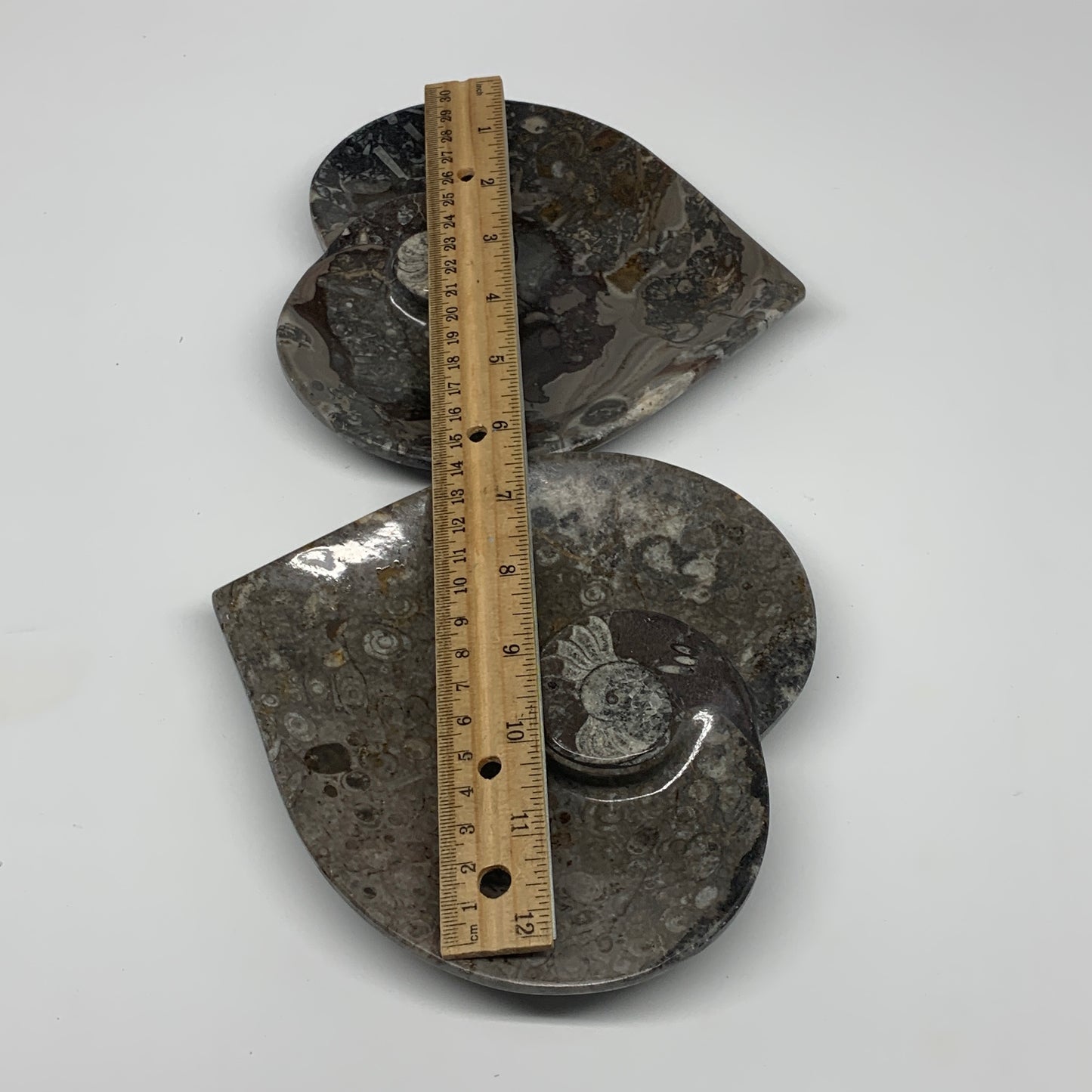 2pcs Set, 6.25"x6.25" Heart Fossils Orthoceras Ammonite Bowls @Morocco, B8472