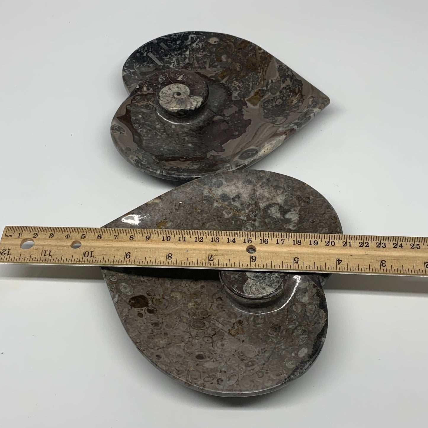 2pcs Set, 6.25"x6.25" Heart Fossils Orthoceras Ammonite Bowls @Morocco, B8472