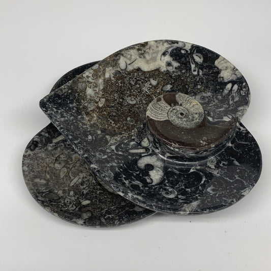 2pcs Set, 6.25"x6.25" Heart Fossils Orthoceras Ammonite Bowls @Morocco, B8473