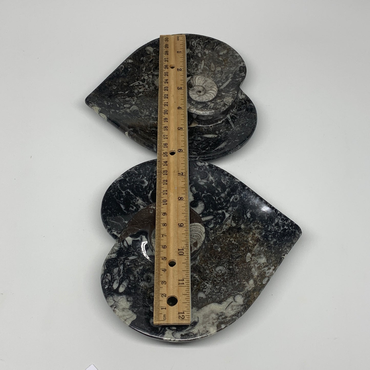2pcs Set, 6.25"x6.25" Heart Fossils Orthoceras Ammonite Bowls @Morocco, B8473