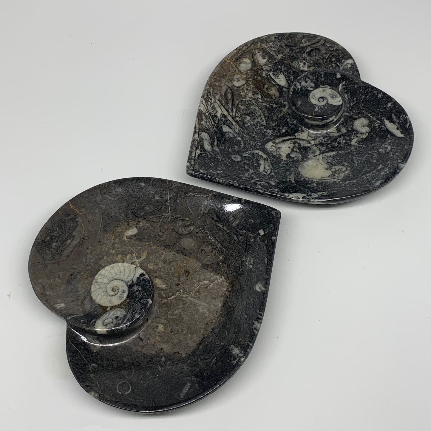 2pcs Set, 6.25"x6.25" Heart Fossils Orthoceras Ammonite Bowls @Morocco, B8474