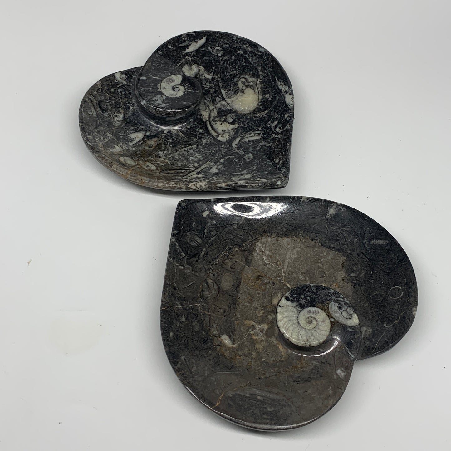 2pcs Set, 6.25"x6.25" Heart Fossils Orthoceras Ammonite Bowls @Morocco, B8474