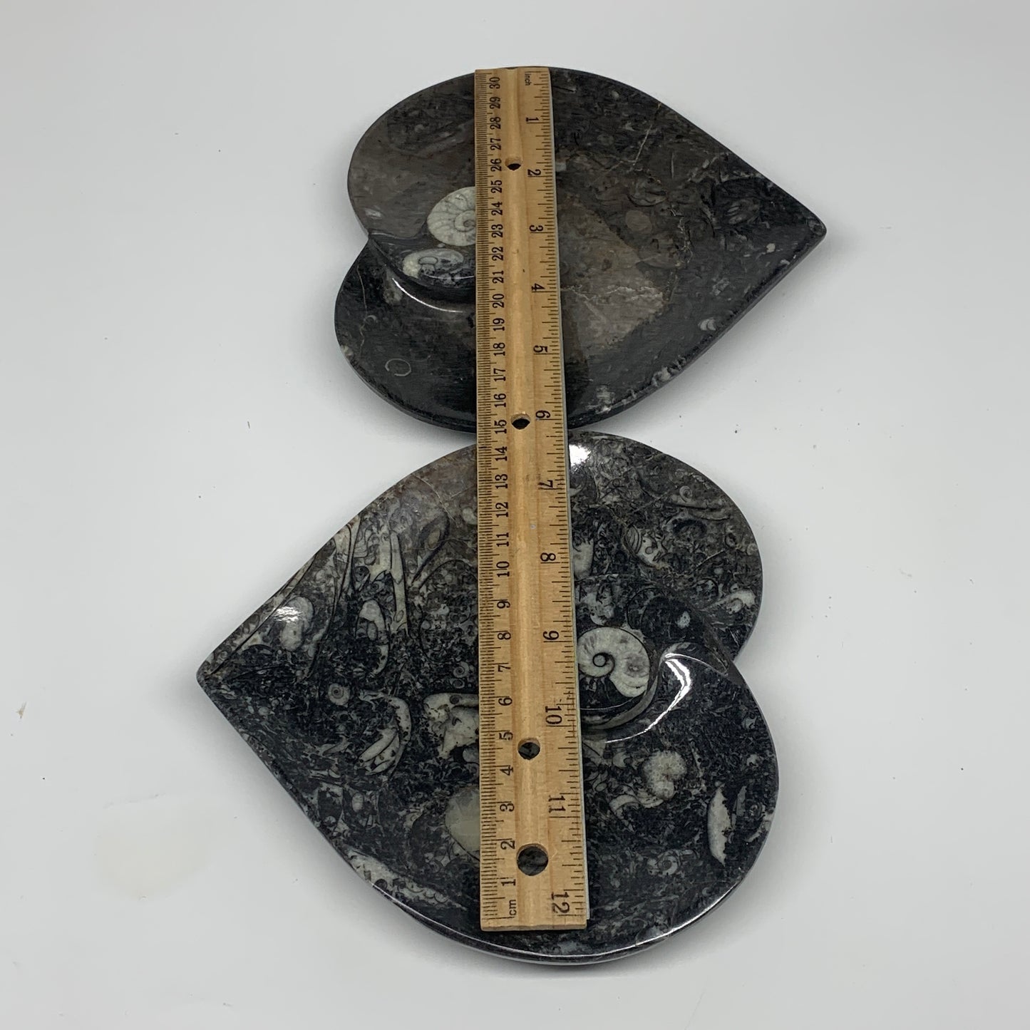 2pcs Set, 6.25"x6.25" Heart Fossils Orthoceras Ammonite Bowls @Morocco, B8474