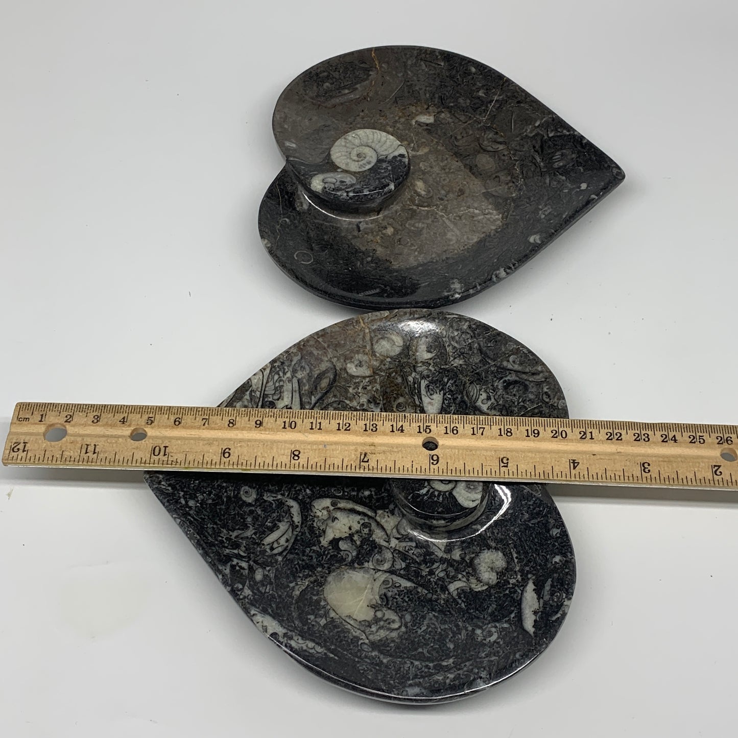 2pcs Set, 6.25"x6.25" Heart Fossils Orthoceras Ammonite Bowls @Morocco, B8474