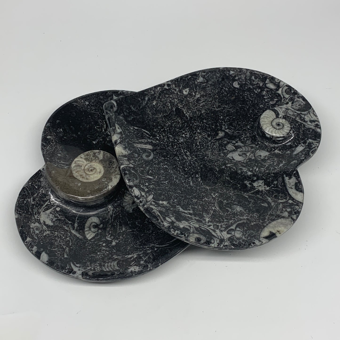 2pcs Set, 6.25"x6.25" Heart Fossils Orthoceras Ammonite Bowls @Morocco, B8476