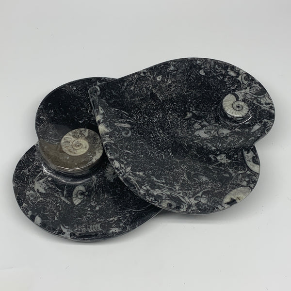 2pcs Set, 6.25"x6.25" Heart Fossils Orthoceras Ammonite Bowls @Morocco, B8476