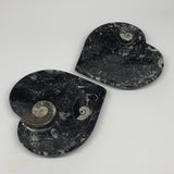 2pcs Set, 6.25"x6.25" Heart Fossils Orthoceras Ammonite Bowls @Morocco, B8476