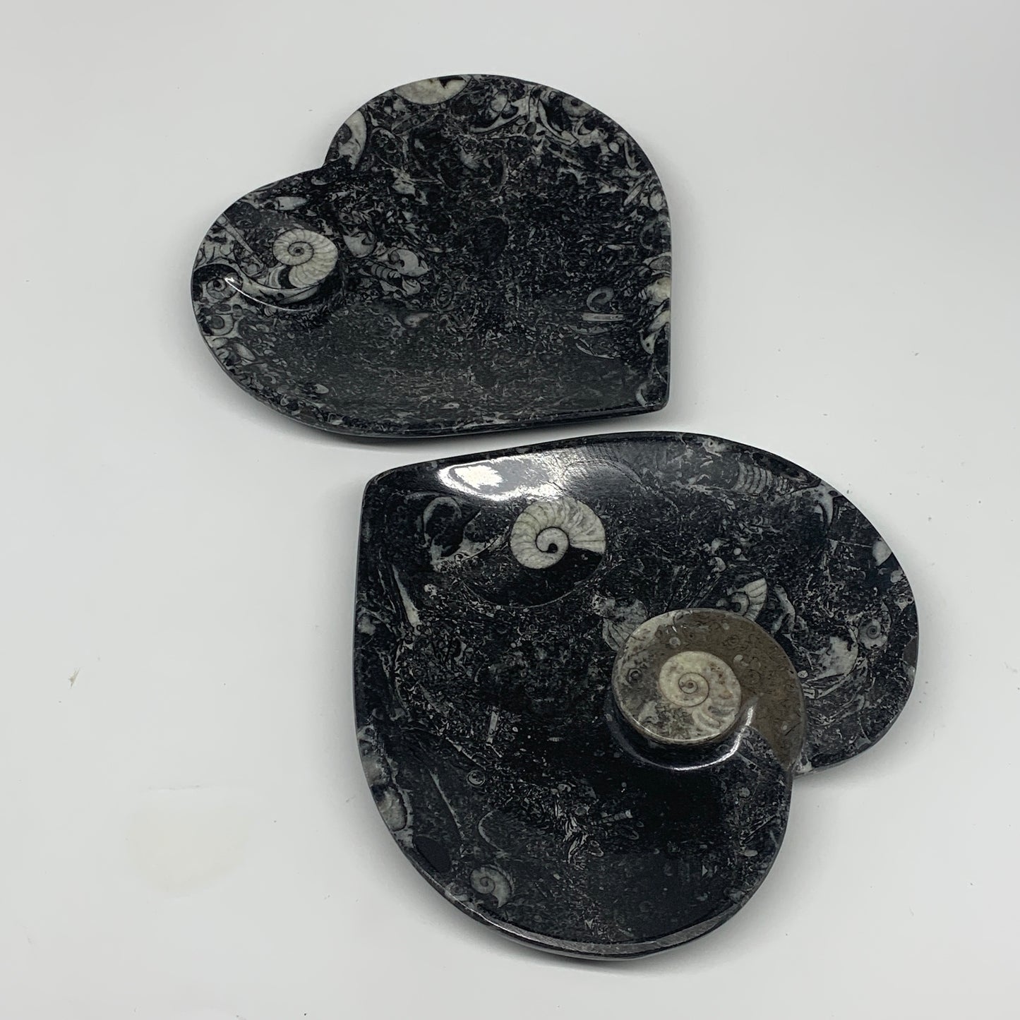 2pcs Set, 6.25"x6.25" Heart Fossils Orthoceras Ammonite Bowls @Morocco, B8476