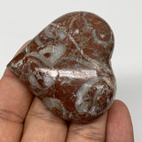 54.3g, 1.9" x 2.1"x 0.6", Natural Untreated Red Shell Fossils Half Heart @Morocc