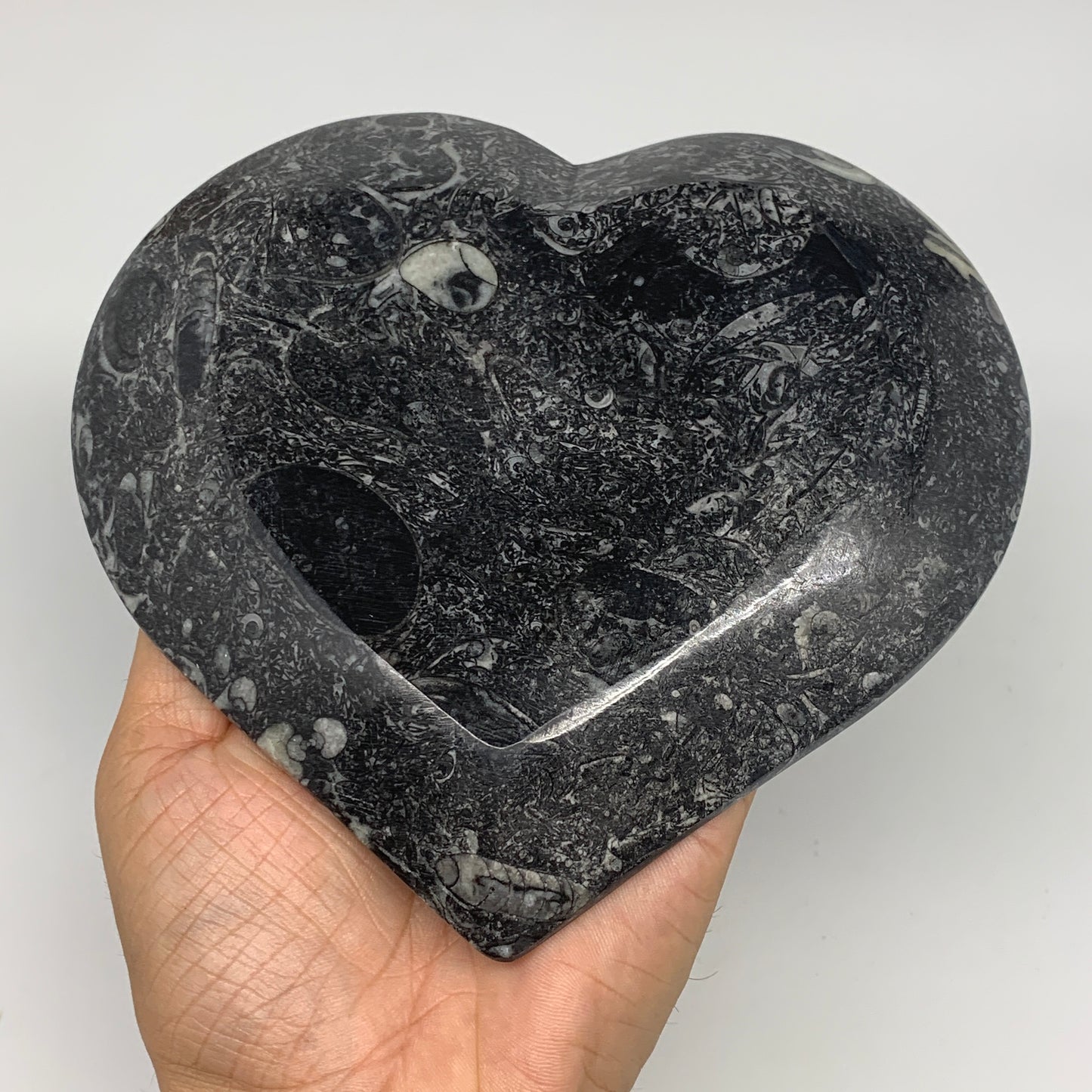 2pcs Set, 6.25"x6.25" Heart Fossils Orthoceras Ammonite Bowls @Morocco, B8476