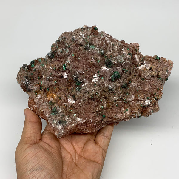 1142g, 7.9"x5.1"x2.4", Brochantite on Dolomite Matrix Mineral Specimen, B11006